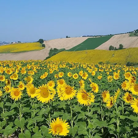 Alojamento de Acomodação e Pequeno-almoço Cervare Montelupone
