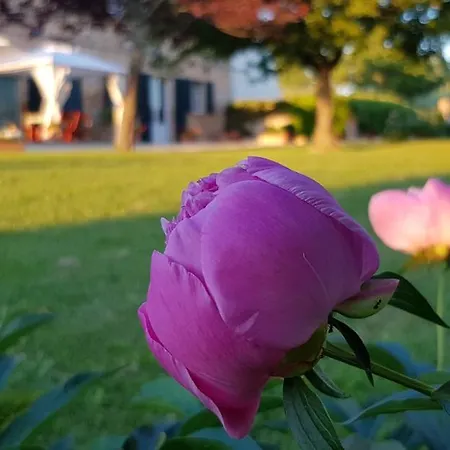 Cervare Alojamento de Acomodação e Pequeno-almoço Montelupone