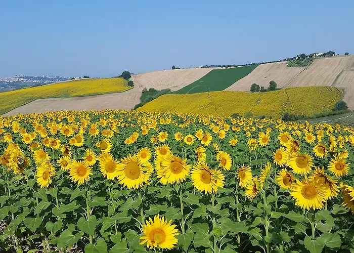 Bed & Breakfast Cervare Montelupone